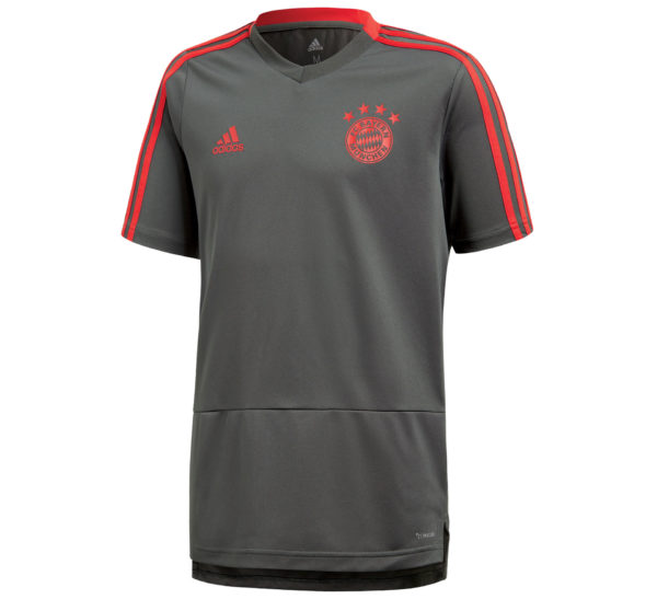 Adidas Bayern Munchen TRG Jersey